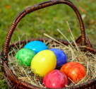 Chasse aux oeufs