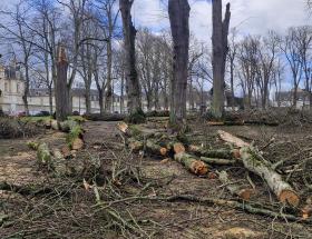 Tempête Goretti à Bayeux