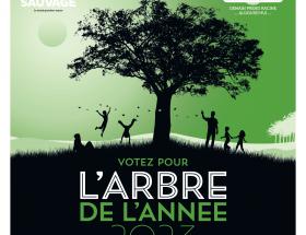 Arbre de l'année 2023