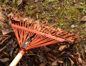 Déchets verts