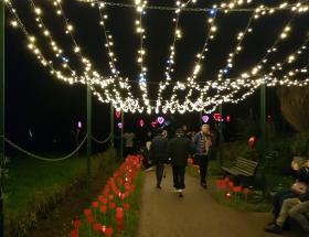 Hêtre in love à Bayeux Saint-Valentin