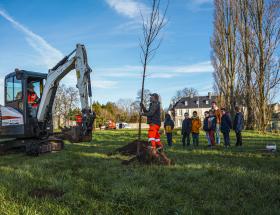 plantation d'arbres à Bayeux