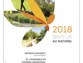 Carte de voeux Bayeux 2018