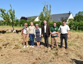 Eco-pâturage Ville de Bayeux