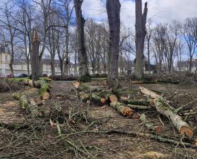 Tempête Goretti à Bayeux