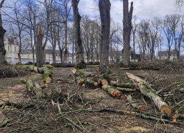 Tempête Goretti à Bayeux