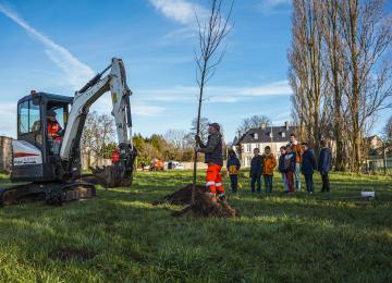plantation d'arbres à Bayeux