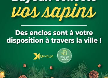 visuel sapins visuel sapins