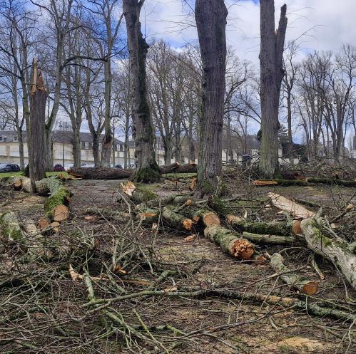 Tempête Goretti à Bayeux