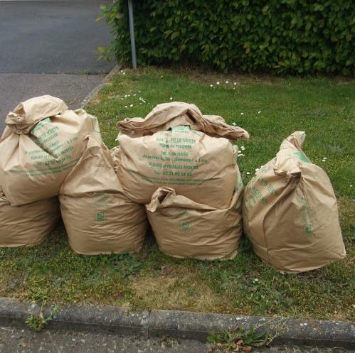 Sacs verts Collectéa