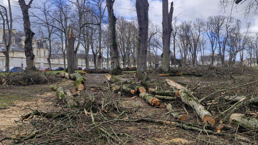 Tempête Goretti à Bayeux