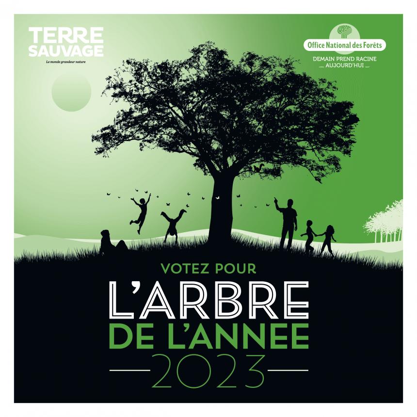 Arbre de l'année 2023