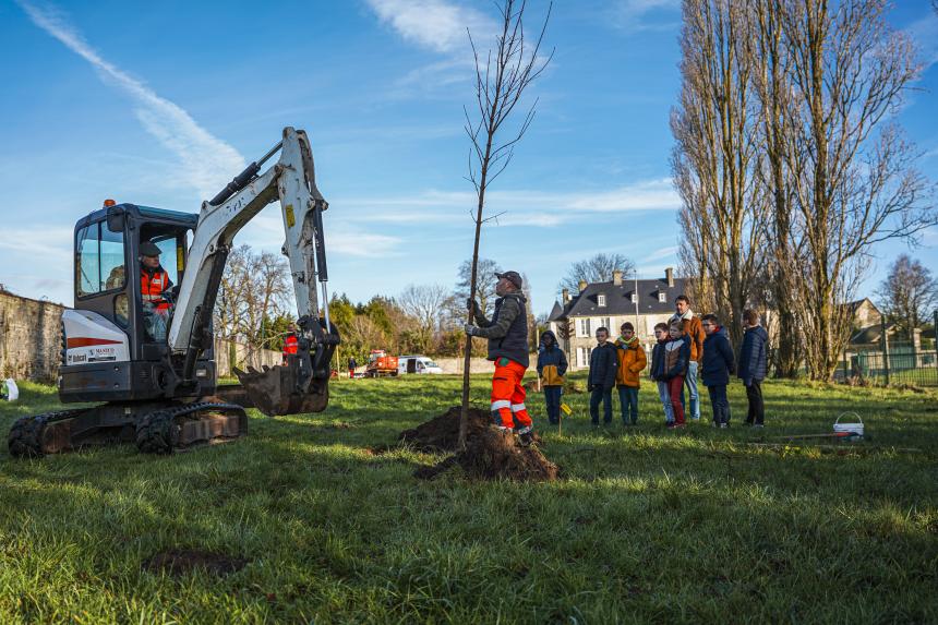 plantation d'arbres à Bayeux