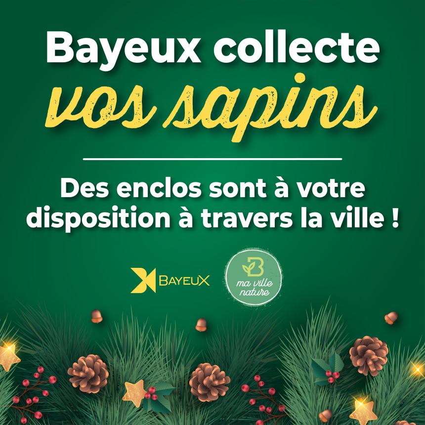 Visuel Bayeux collecte vos sapins de Noël Visuel Bayeux collecte vos sapins de Noël