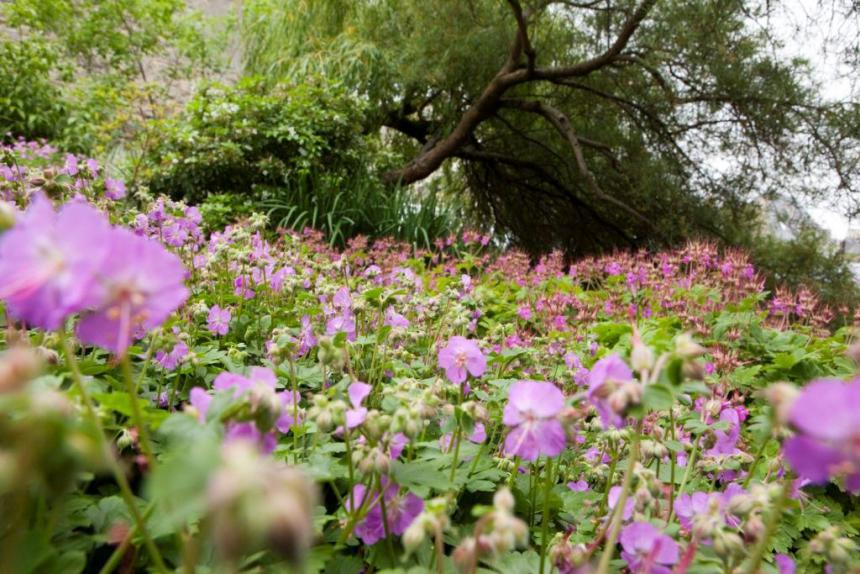 DU 19 AU 24 MAI, BAYEUX FÊTE LE PRINTEMPS !