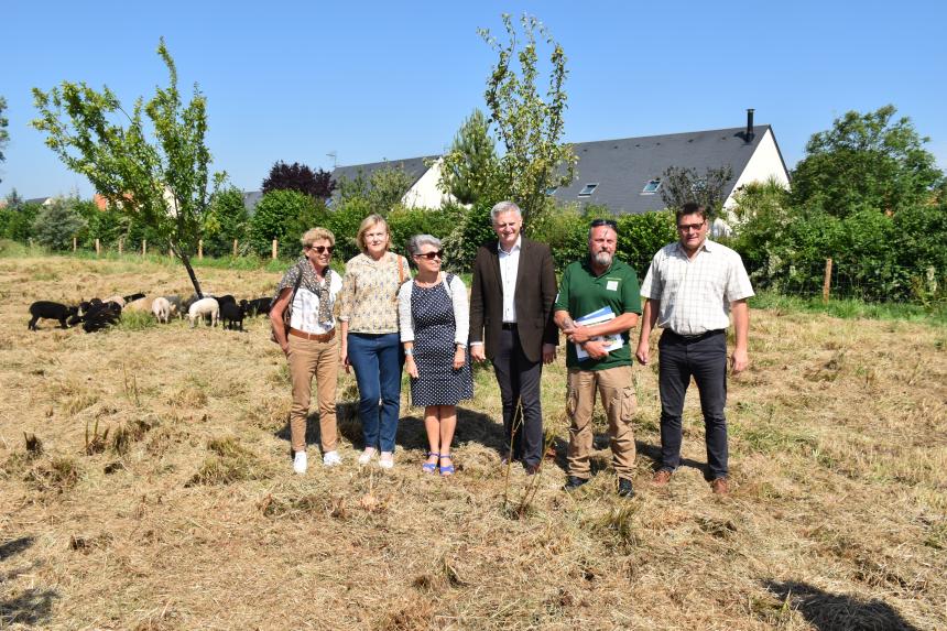 Eco-pâturage Ville de Bayeux